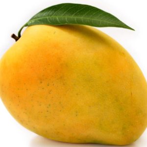 Australian Mangoes