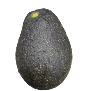 australian avocados