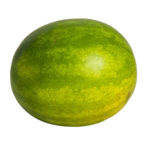 Australian watermelon