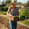 online-farmers-market