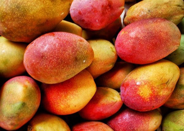 Mangoes