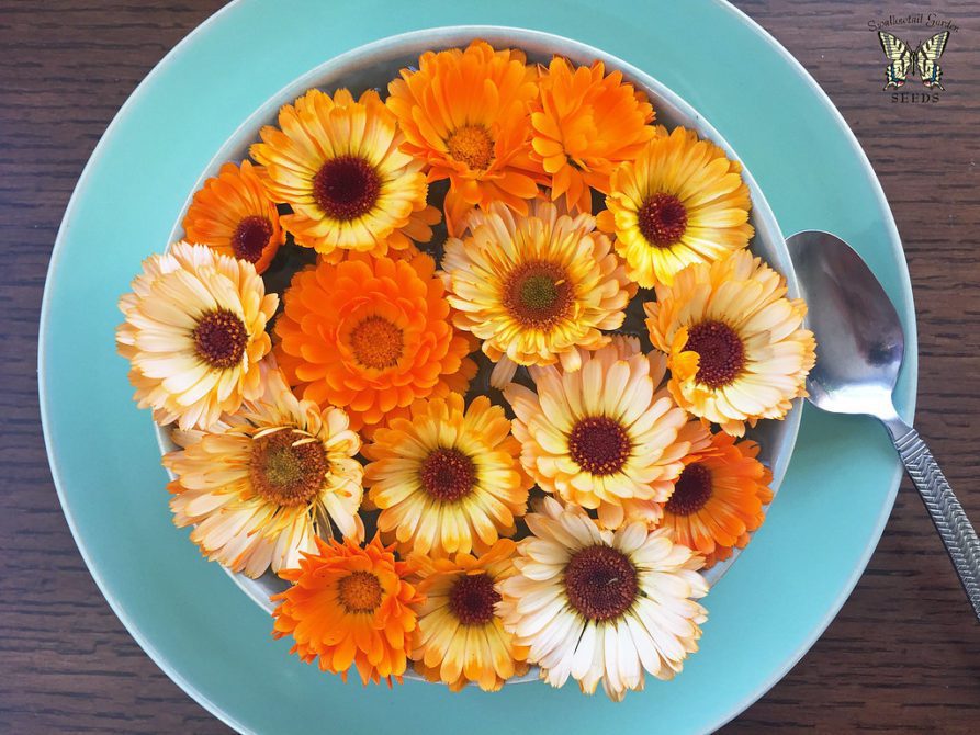 Edible flowers - auscrops.com.au