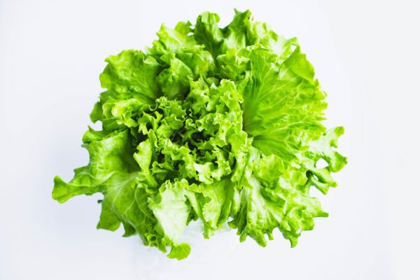 Lettuce