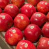 Apples