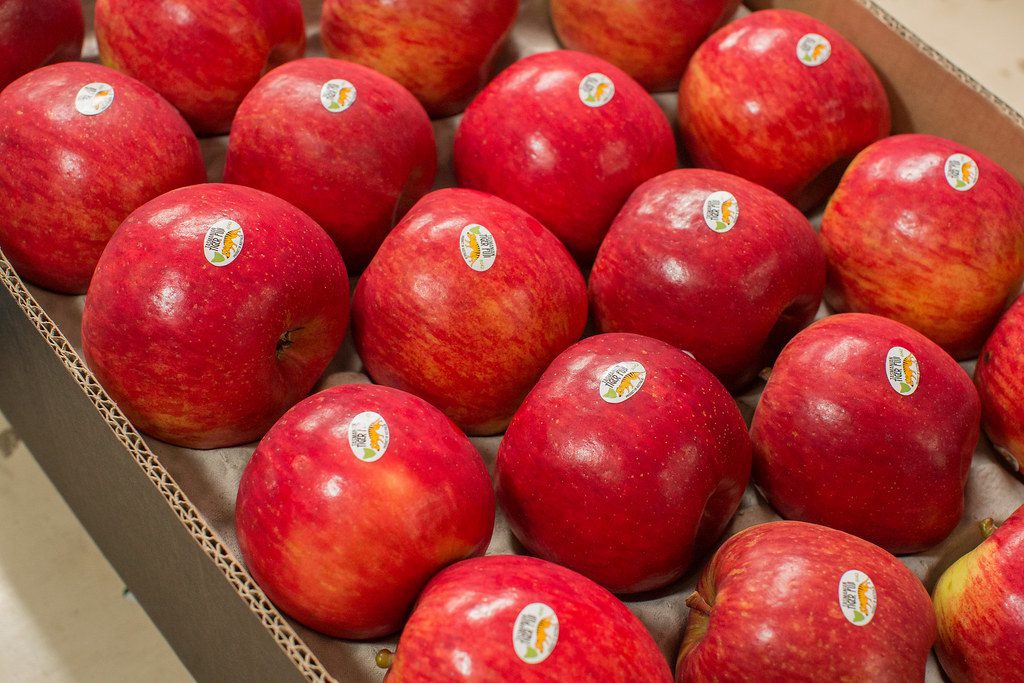 Apples