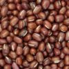 Beans