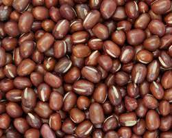 Beans