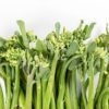 Broccolini
