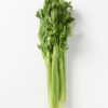 Celery