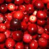 Cranberry fruit