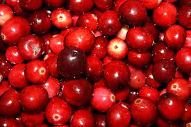 Cranberry fruit