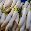 Daikon radish