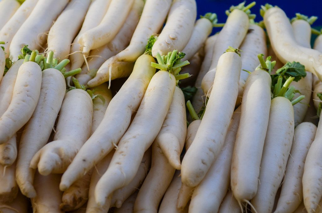 Daikon Radish 150 Seeds | Crisp Japanese White