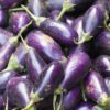 Eggplants