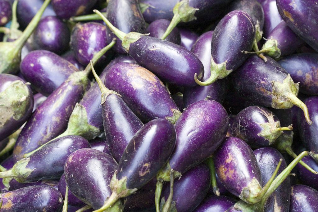 Eggplants