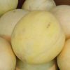 Honeydew melon