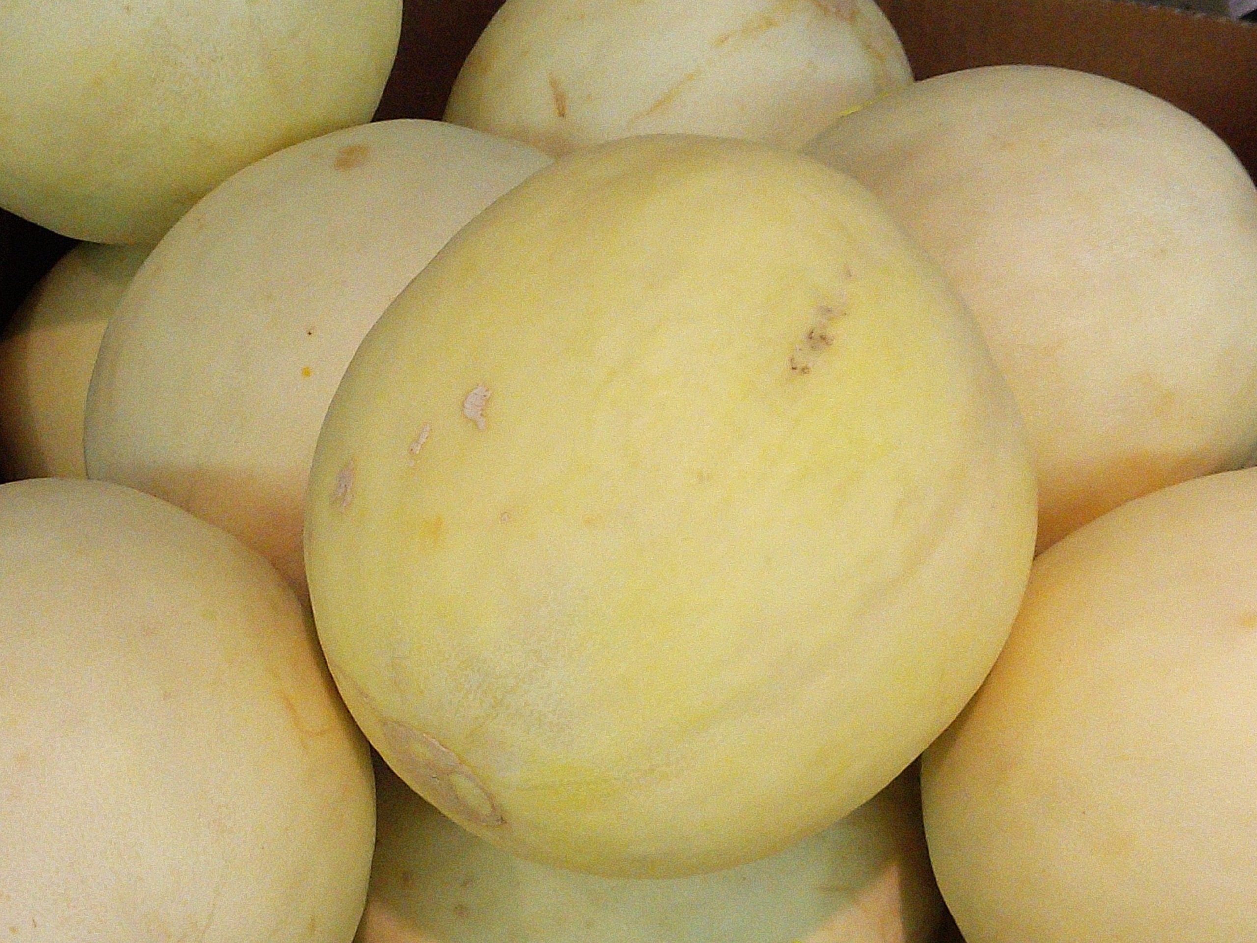 Honeydew melon