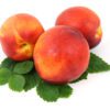 Nectarines