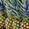 Pineapples