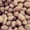 Potato Queen