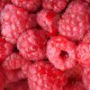 Raspberries