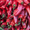 Red peppers