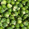 Sprouts