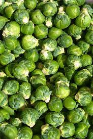 Sprouts