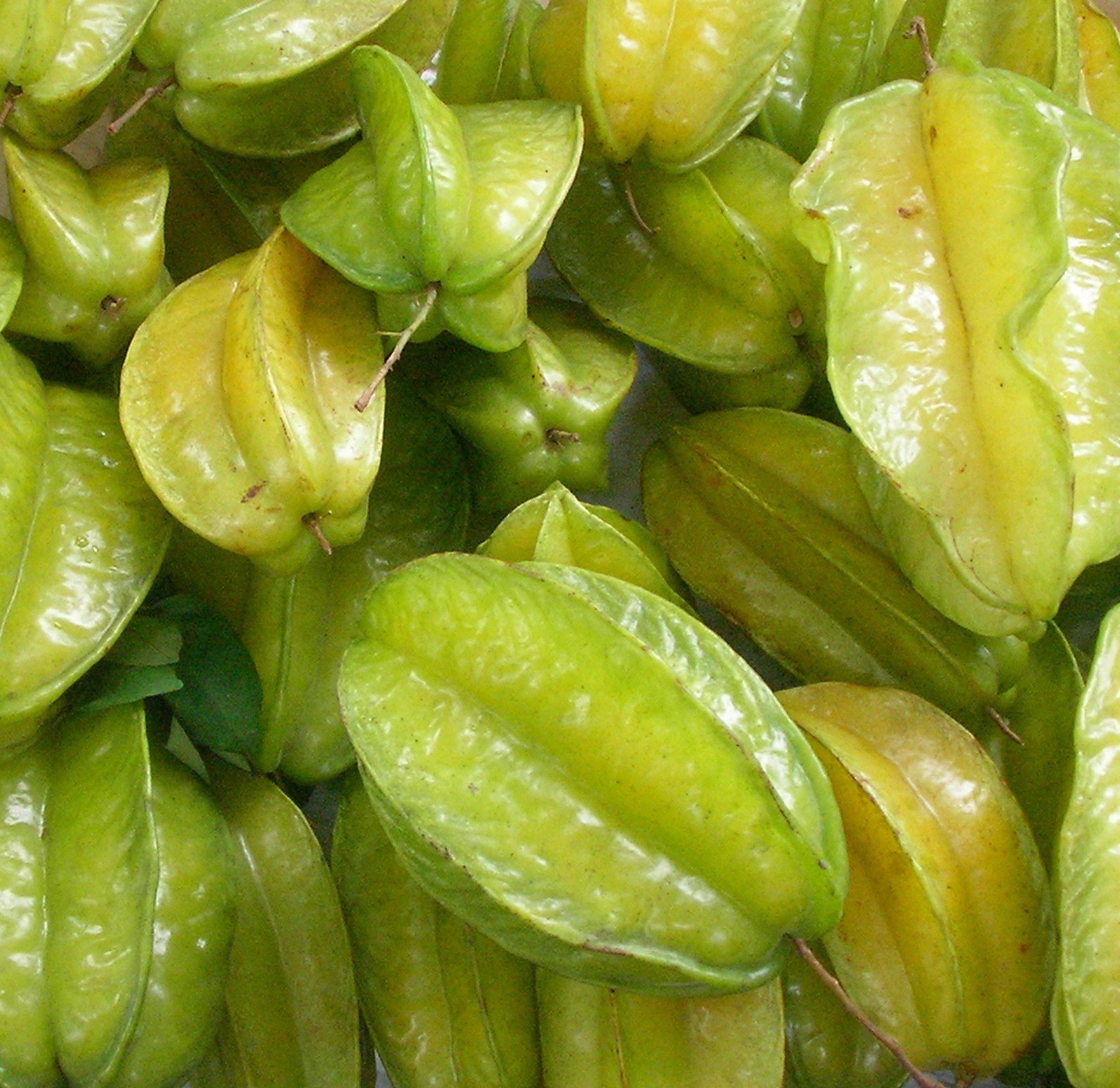 Starfruits