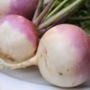 Turnips