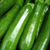 Zucchini