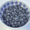 blueberry frozen
