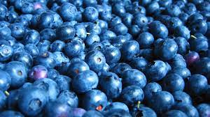 blueberry