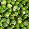 how to roast brussel sprouts