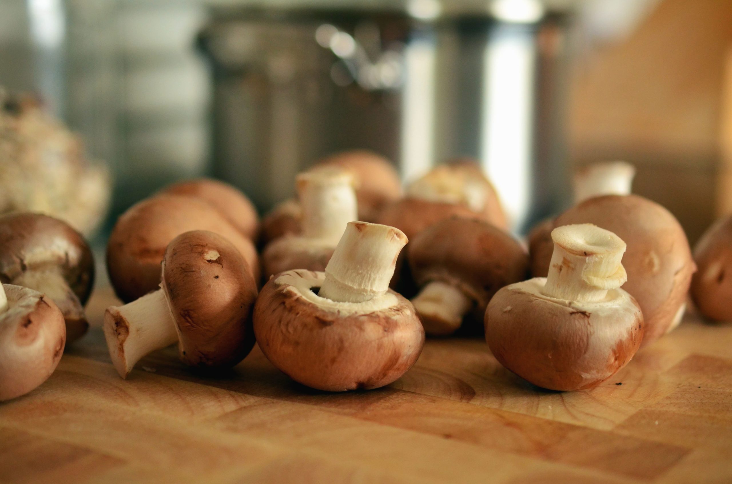 Mushroom