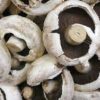 mushrooms
