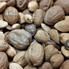 nuts