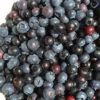 Acai Berry