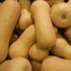 Butternut Squash