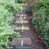 Cheap Veggies