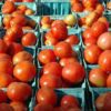 Farmer market