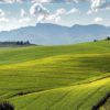 Farms