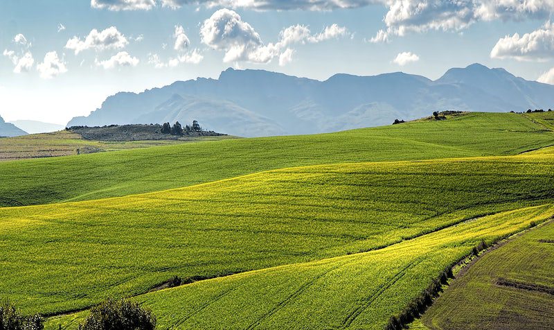 Farms