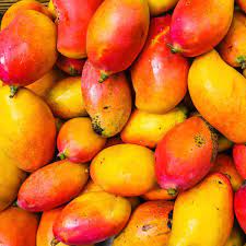 Fresh mango