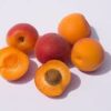 Fruits with stone