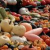 Jap pumpkins
