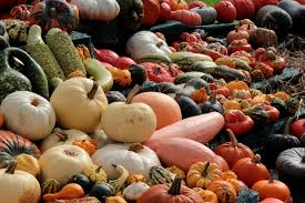 Jap pumpkins
