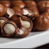 Macadamia Nuts
