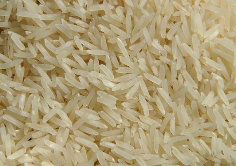 Long Grain Rice vs Short Grain Rice