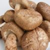 Shiitake Mushroom Recipes